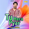 About Tu Mera Pyar Song